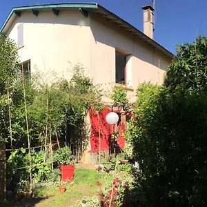 La Bulle Dans Le Palmier Gasthuis
